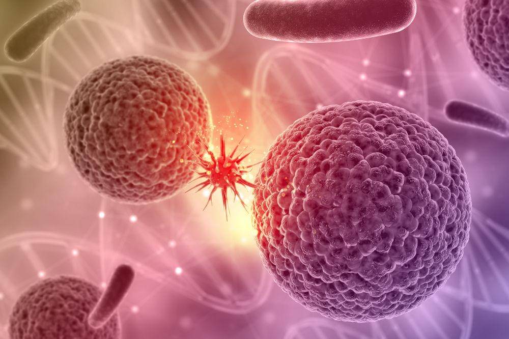 Peneliti Temukan Protein Penting untuk Kesuburan Laki-Laki dan Kanker