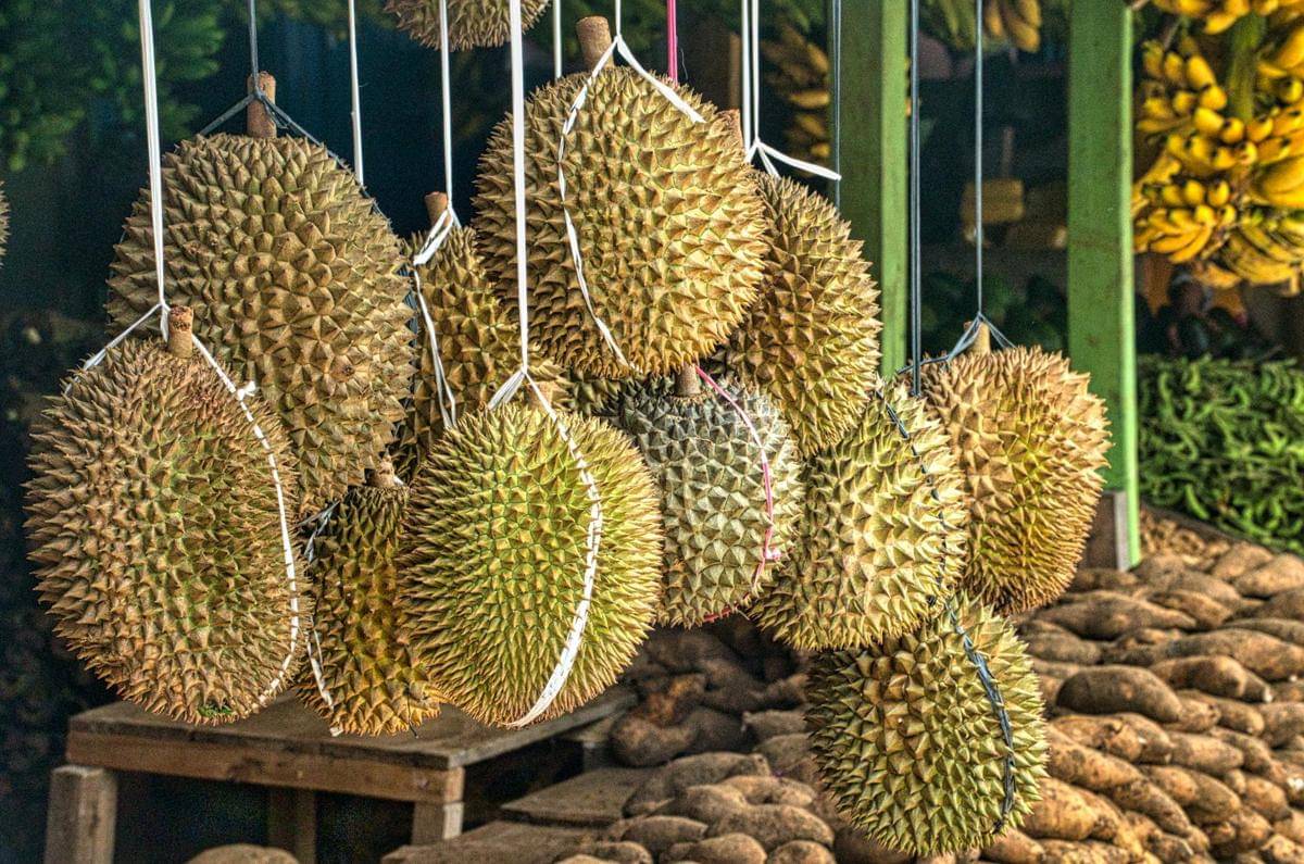 ilustrasi buah durian (pexels.com/Tom Fisk)