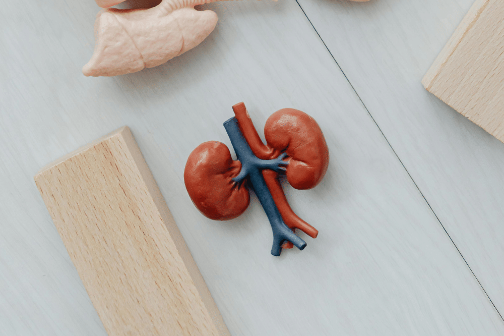 8 Cara Merawat Ginjal Supaya Tetap Sehat, Terapkan Hal Ini! (7).png