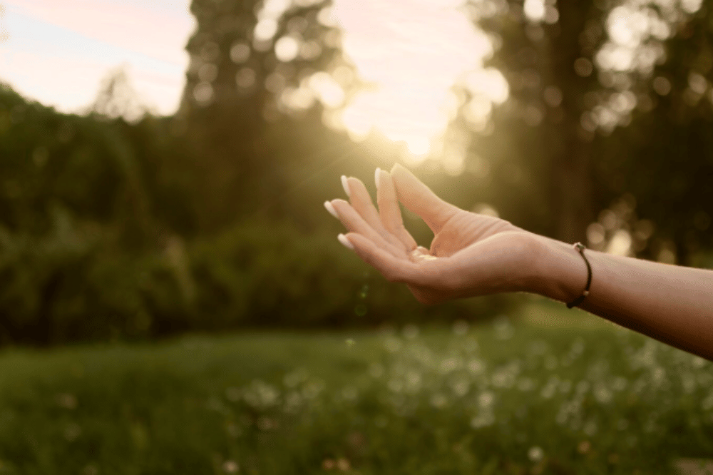 Berkemah Ternyata Bisa Menurunkan Risiko Kanker! Ini Faktanya