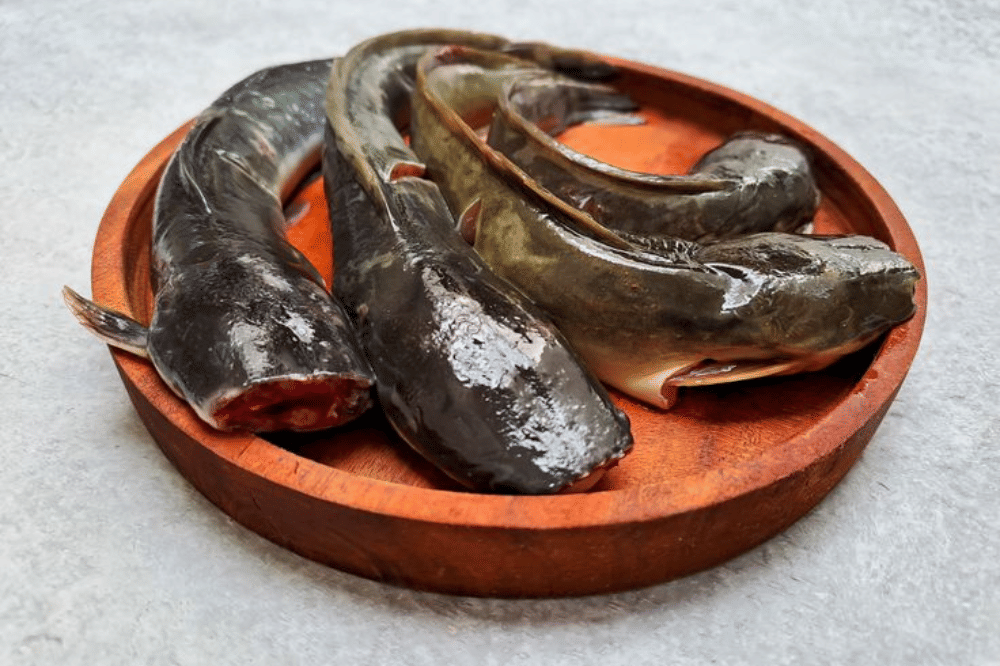 Resep Bola Nasi Lele untuk MPASI 3.png