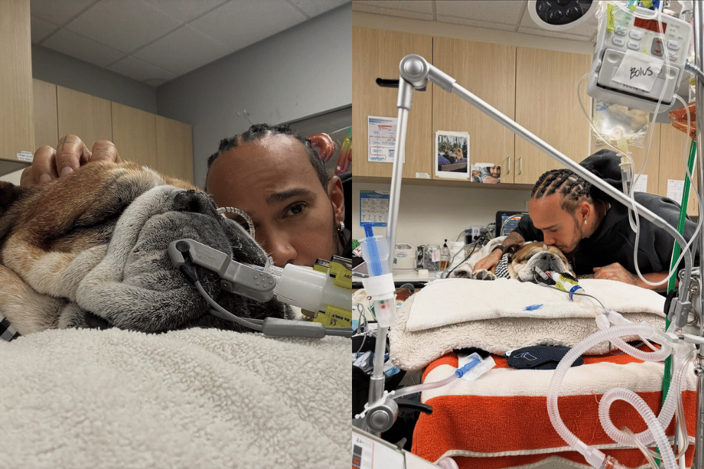 Lewis Hamilton dan Roscoe