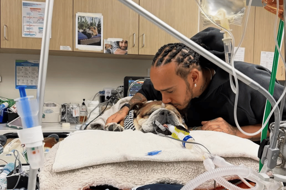 Lewis Hamilton dan Roscoe