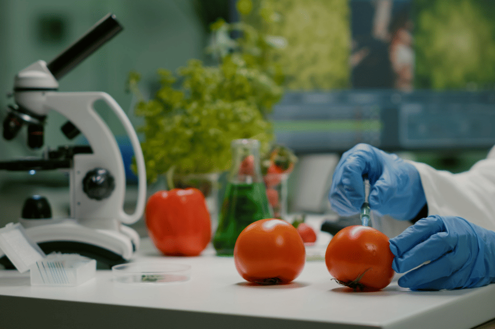 Uji laboratorium pada makanan