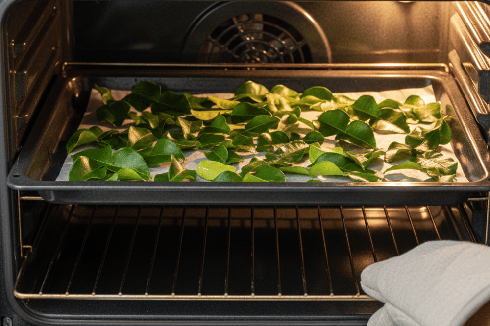 Cara Menyimpan Daun Jeruk agar Awet