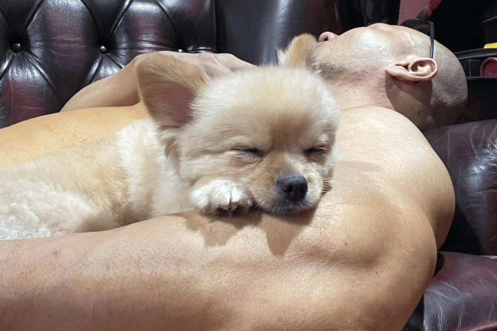 Fakta Anjing Kesayangan Sabrina