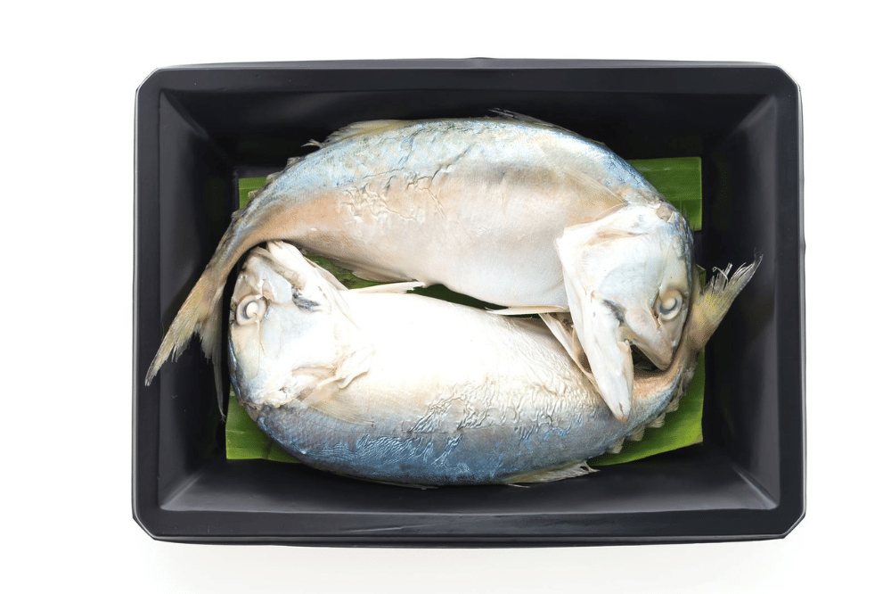 Kaldu Kepala Ikan Gabus sebagai Pengganti MSG