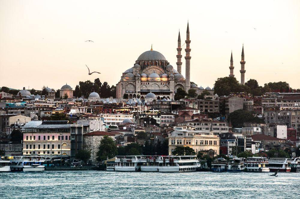 Kota Kucing Istanbul