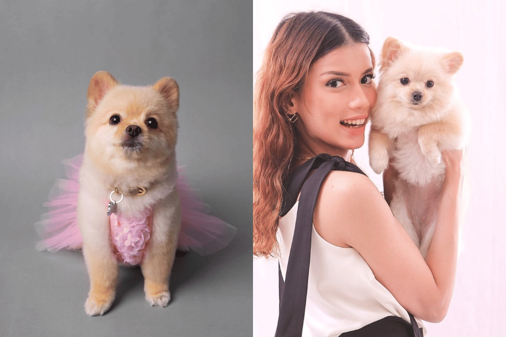 Fakta Anjing Kesayangan Sabrina