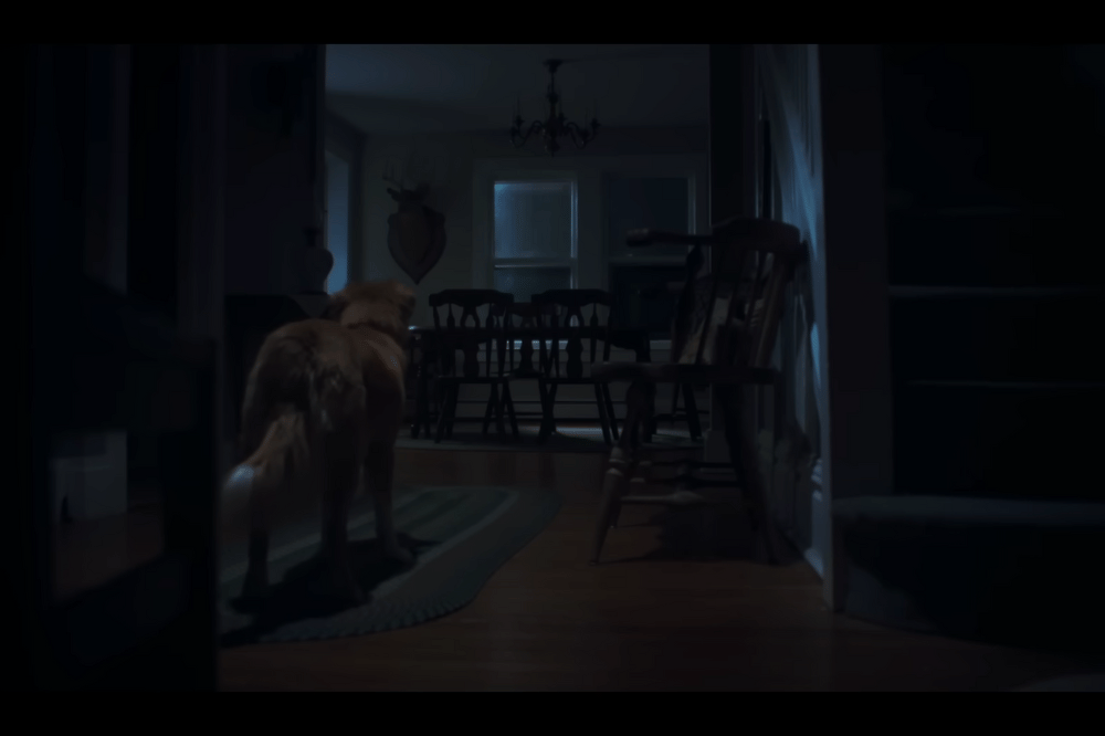 Film Good Boy Ambil Sudut Pandang Anjing di Rumah Berhantu 