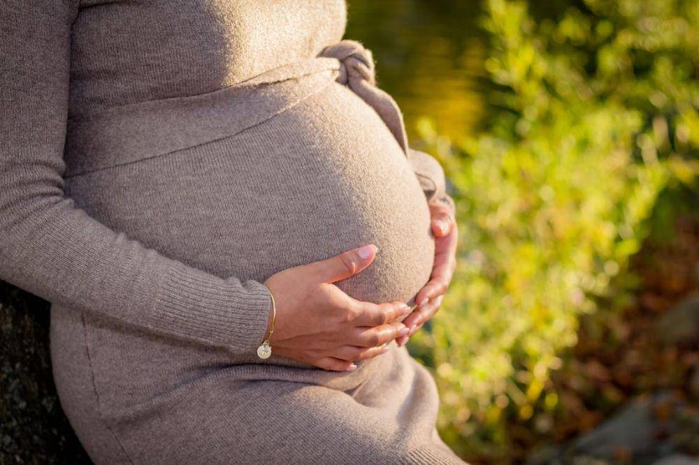 Unsplash/Bonnie Kittle