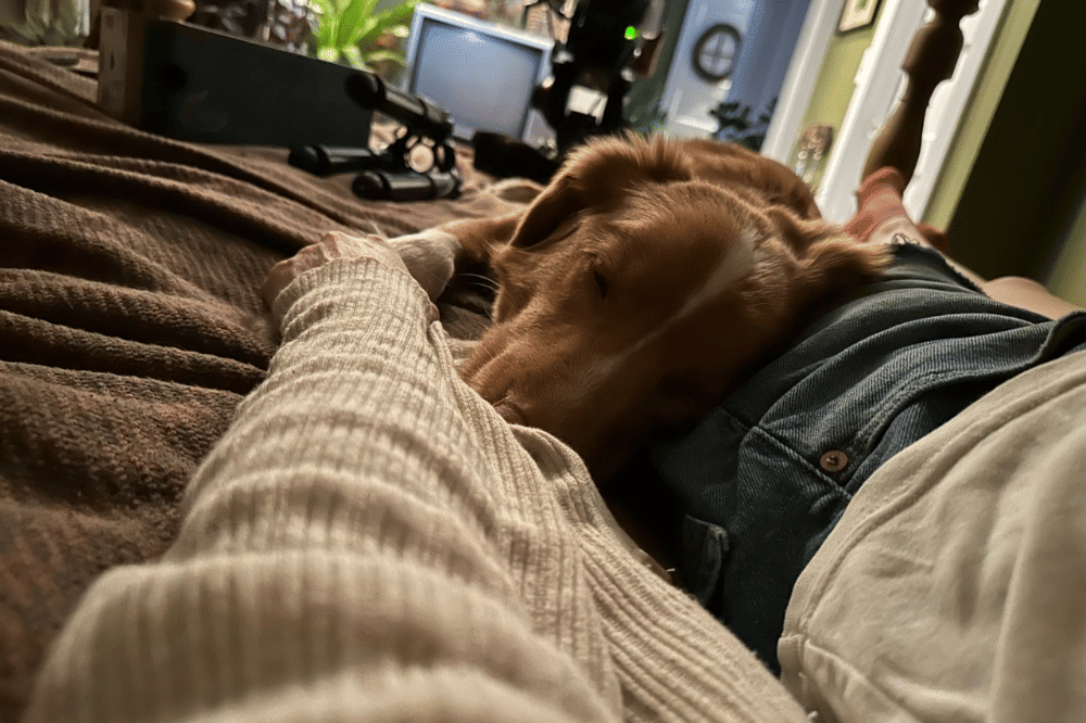 Film Good Boy Ambil Sudut Pandang Anjing di Rumah Berhantu 