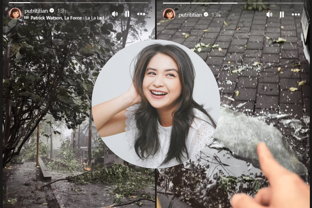 Pohon di Rumah Putri Titian Roboh Sebabkan Kaca Mobilnya Pecah