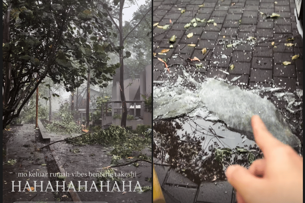 Pohon di Rumah Putri Titian Roboh Sebabkan Kaca Mobilnya Pecah