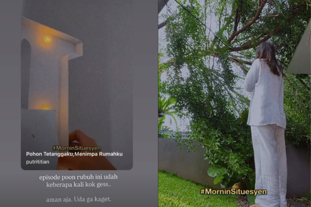 Pohon di Rumah Putri Titian Roboh Sebabkan Kaca Mobilnya Pecah