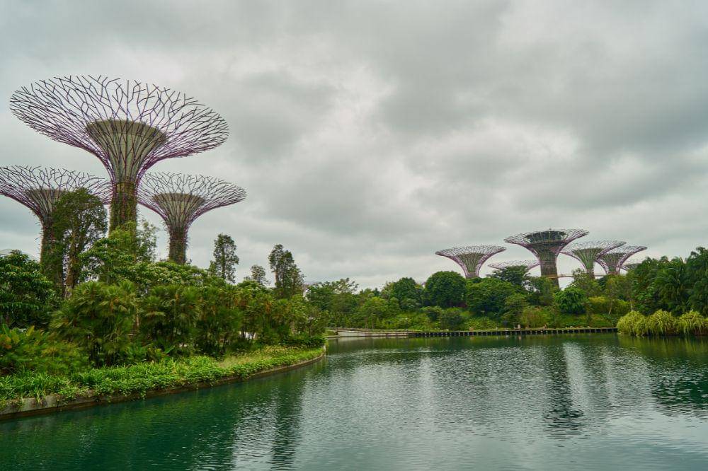 Gardens by the Bay Singapore