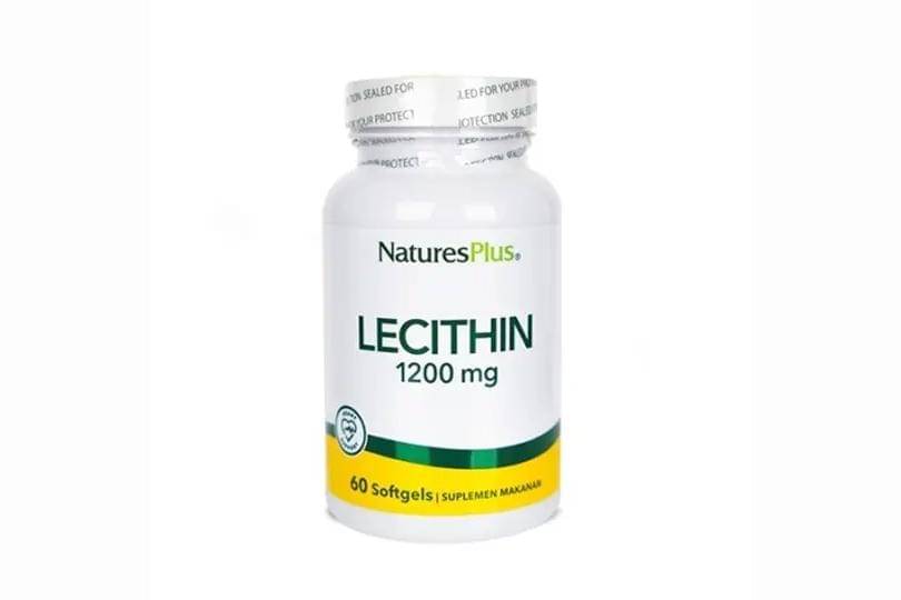 lecithin 1.jpg