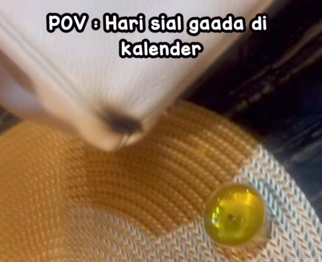 Tas birkin Tasyi Atasyia yang terbakar