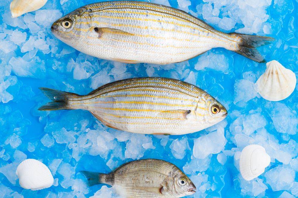 7 Ikan yang Mengandung Merkuri Tinggi, Sering Dimakan Tanpa Disadari!
