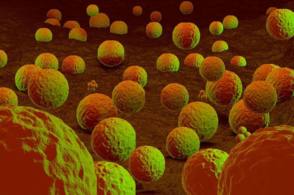 Kuas Make Up Mengandung Banyak Bakteri, Berbahaya bagi Kesehatan