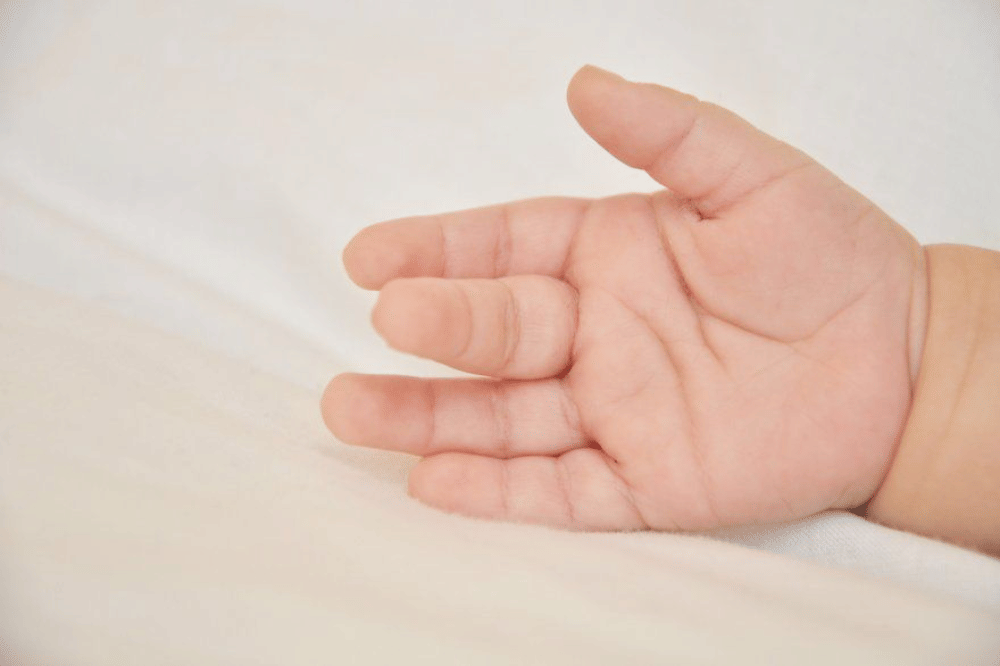 Pinterest.com/Creative Market