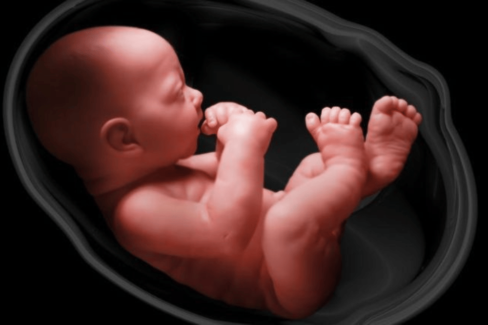 Pinterest.com/-US- Jennifer Nguyen