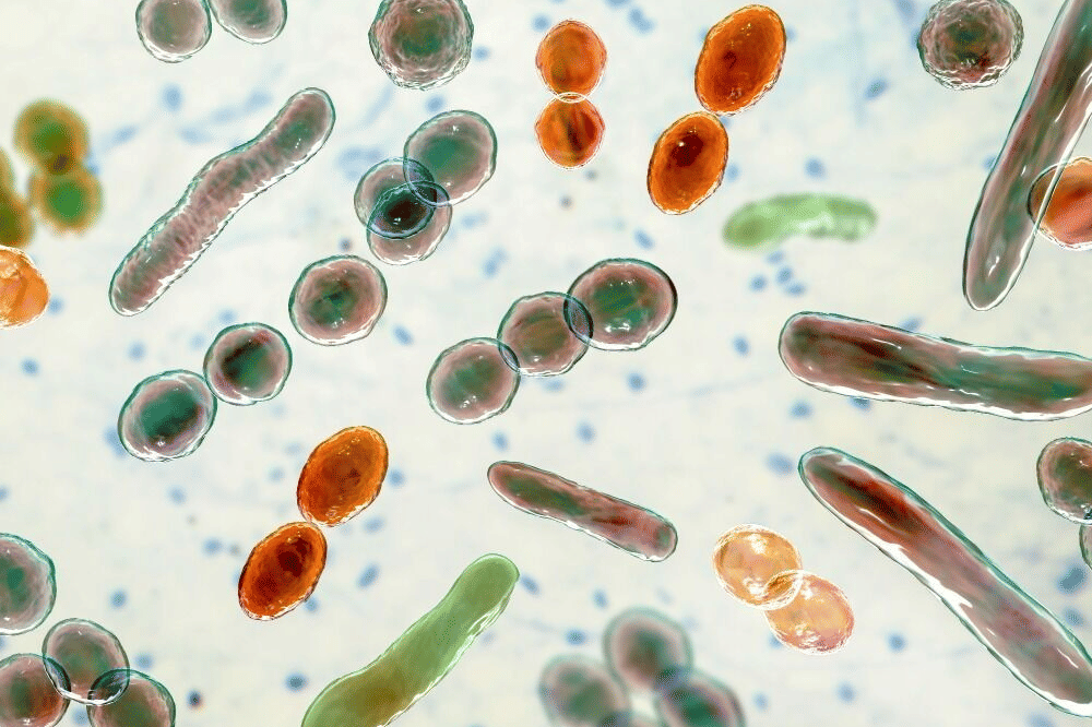 Pinterest.com/NewBeauty Magazine