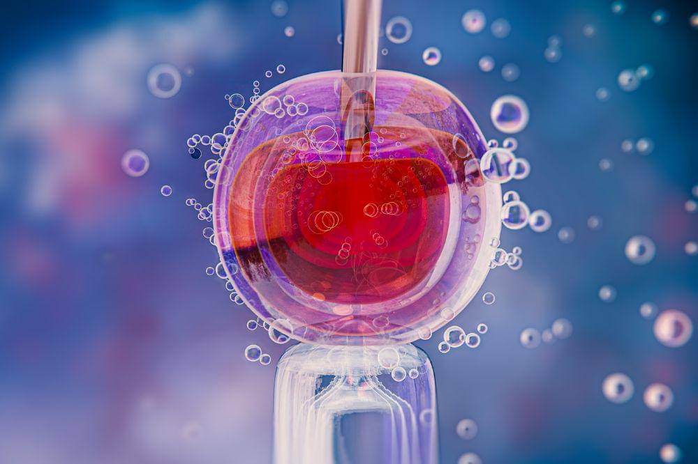 Alpha IVF Hadir di Bali, Bawa Layanan Fertilitas Kelas Dunia