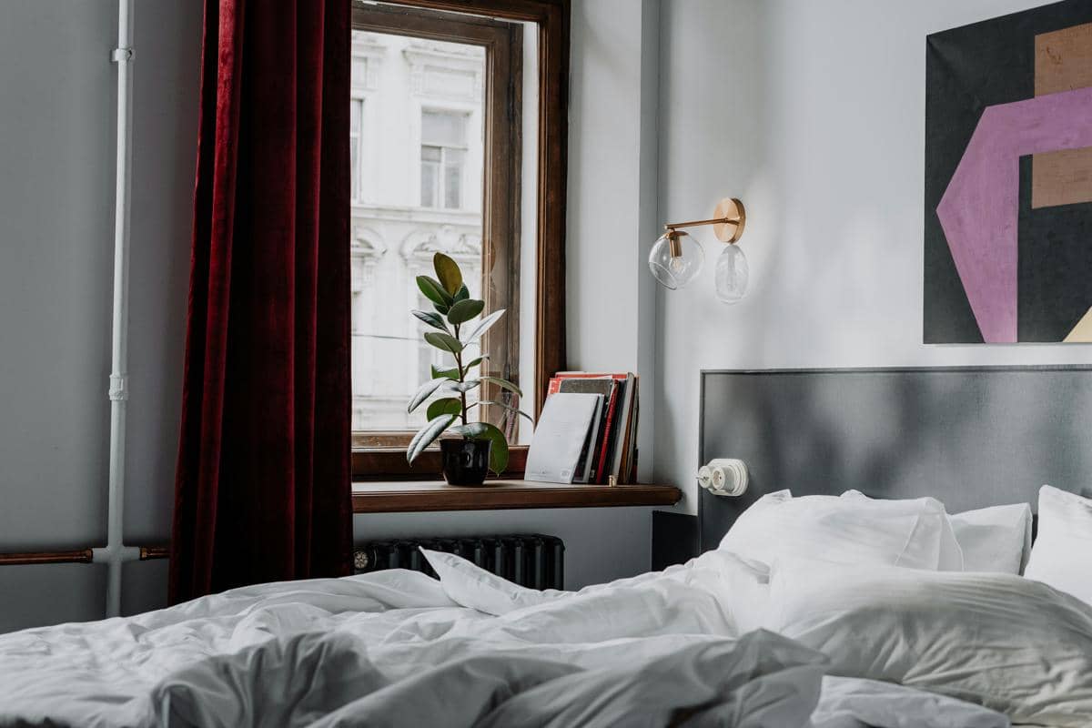 Pexels/cottonbro studio