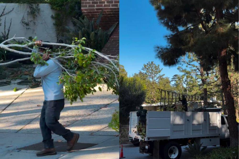 Potret Juragan 99 Bersihkan Kebun Rumah di LA Rp38 Juta