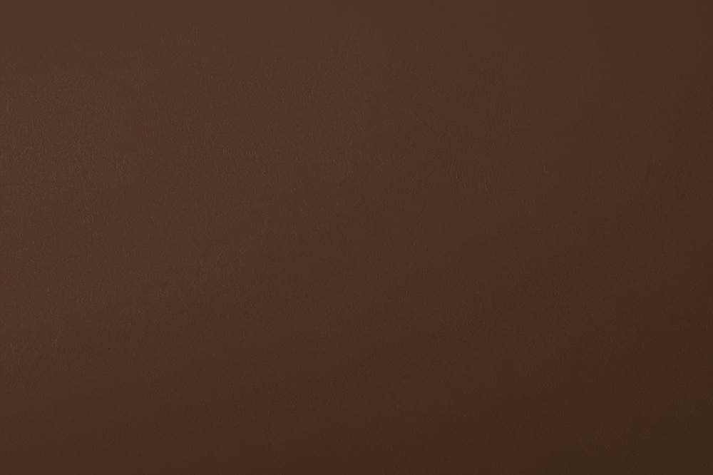 5 Warna Sial Shio Anjing Tahun 2026, Perlu Diperhatikan!