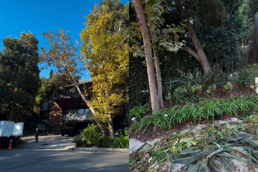 Potret Juragan 99 Bersihkan Kebun Rumah di LA Rp38 Juta