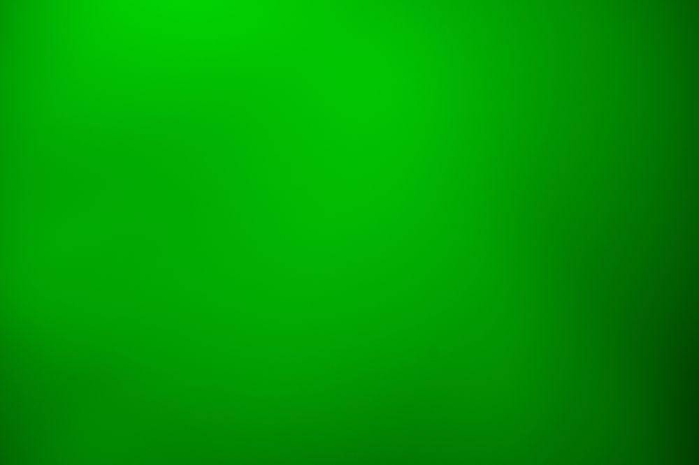 4 Warna Keberuntungan Shio Kuda 2026, Saatnya Melangkah Berani