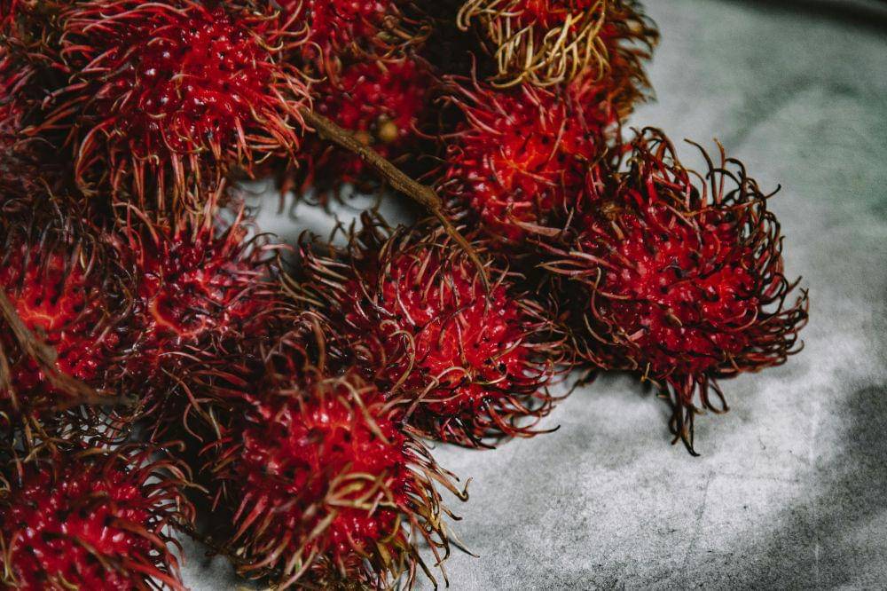Cara Menyimpan Rambutan