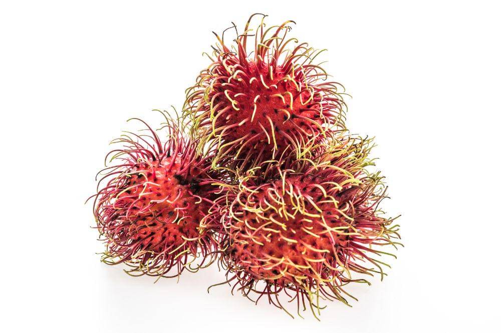 Cara Menyimpan Rambutan