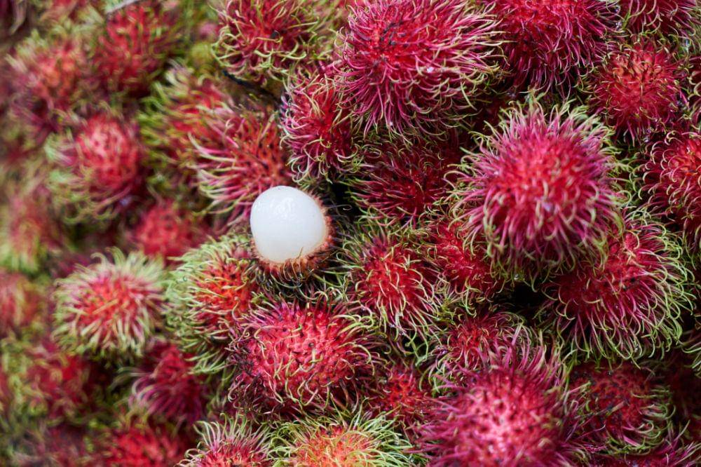 Cara Menyimpan Rambutan