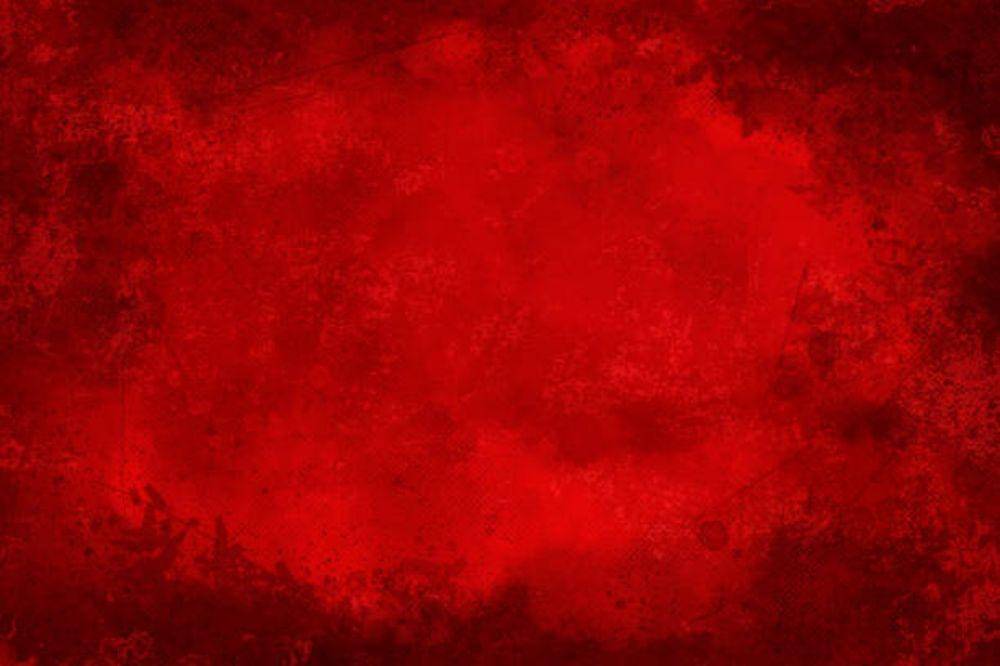 3 Warna Keberuntungan Shio Anjing Tahun 2026, Pancarkan Hoki!