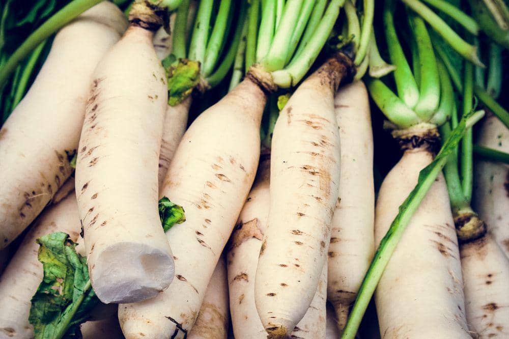 12 Jenis Sayuran yang Cocok untuk Diet, Tetap Kenyang dan Sehat (9).jpg