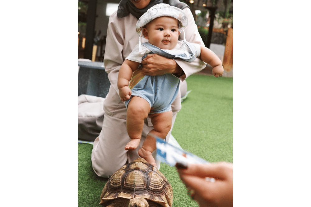 Instagram.com/aaliyah.massaid