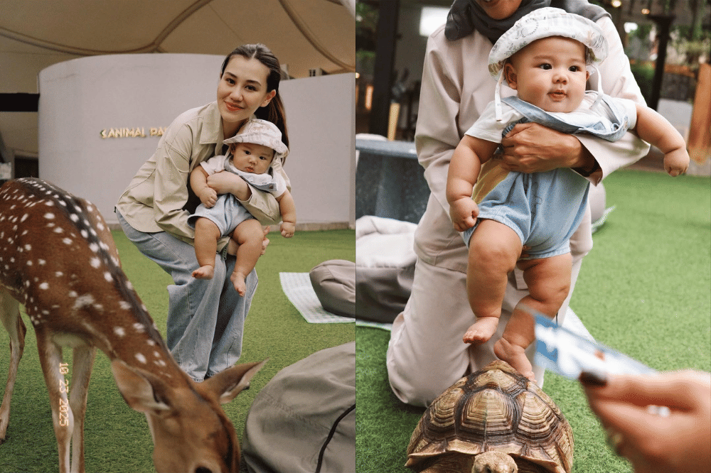 Instagram.com/aaliyah.massaid