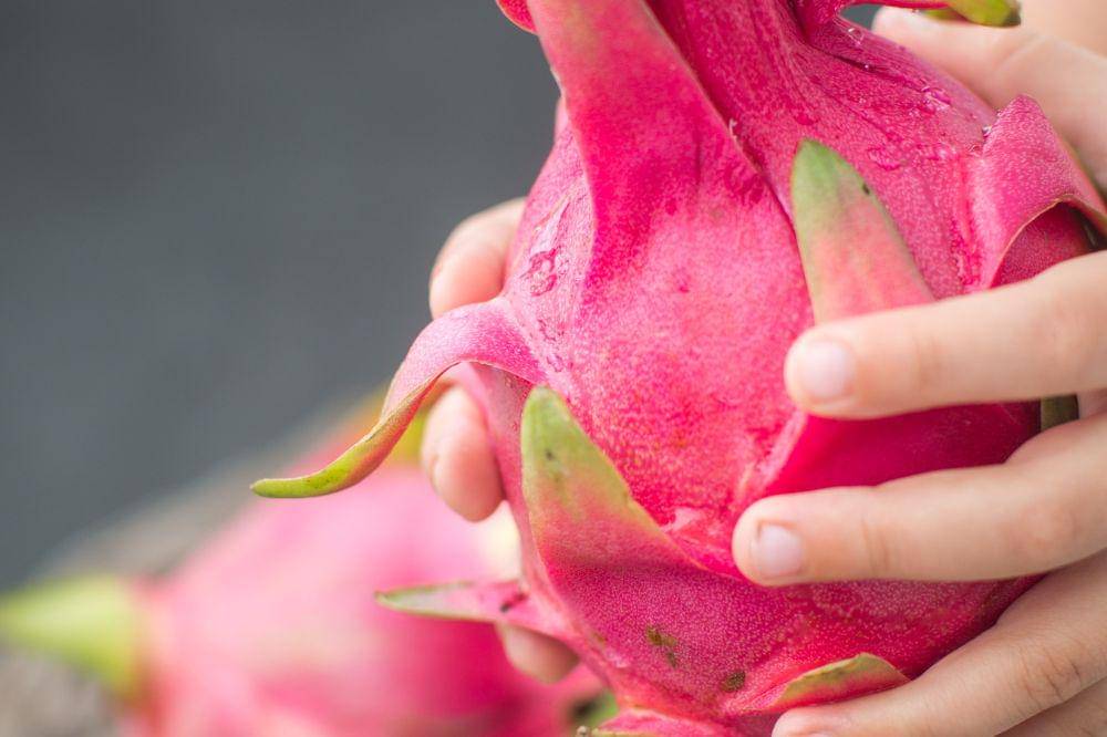 Freepik/boyarkinamarina