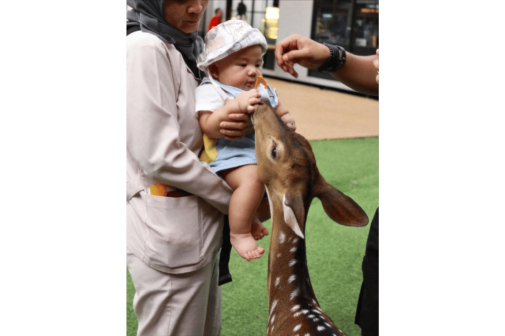 Instagram.com/aaliyah.massaid