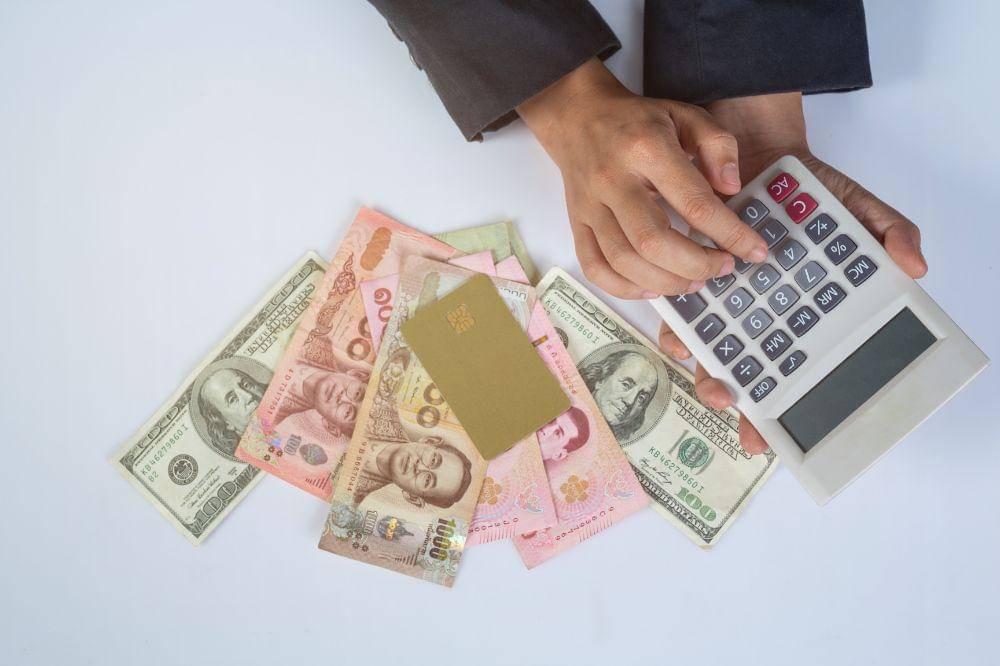 Ramalan Keuangan Shio Babi 2026, Nikmati Hidup Pegang Kendali