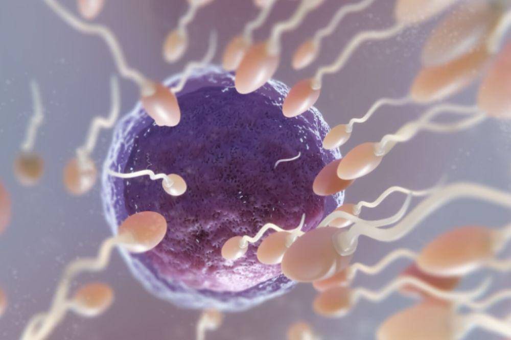 Apakah Sperm Najis.jpg