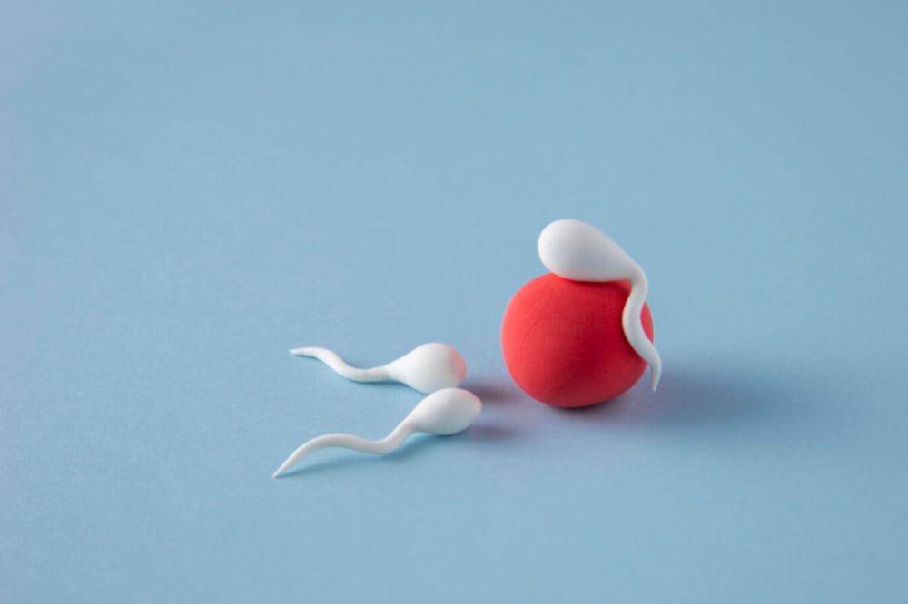 Apakah Sperm Najis (2).jpg