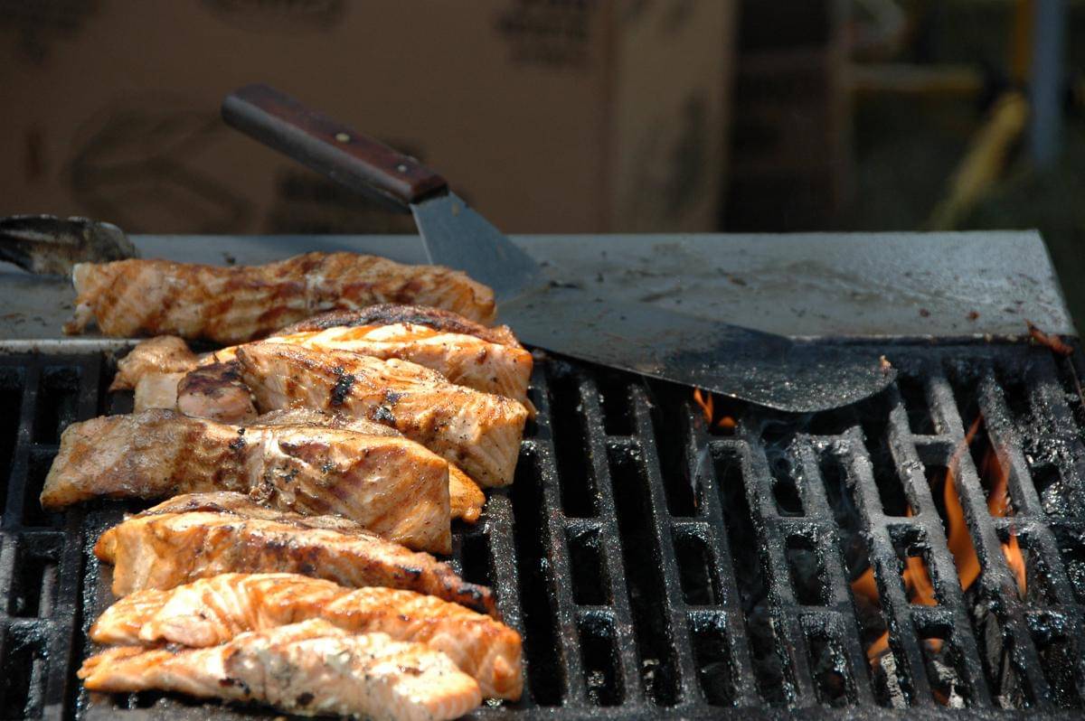 Kandungan Ikan Salmon untuk Kesehatan Ibu Hamil