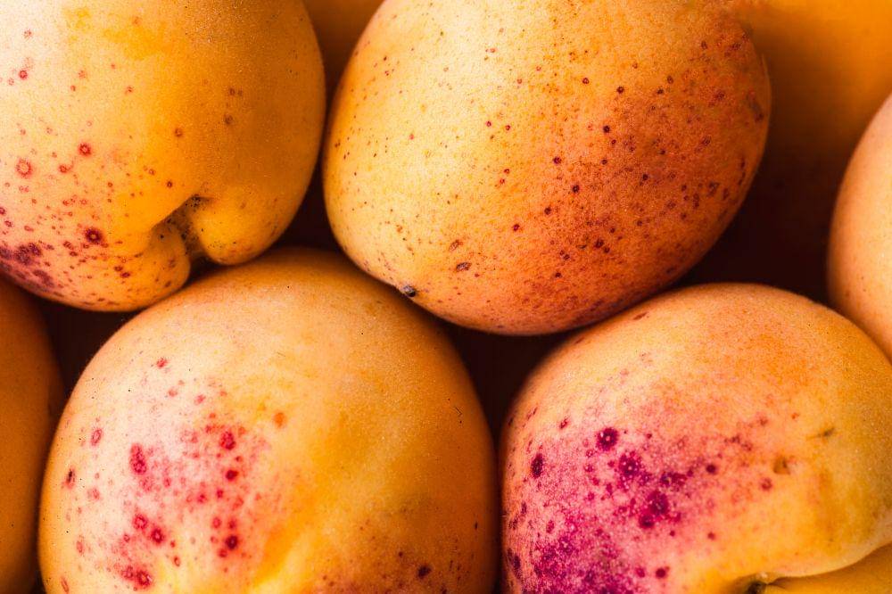 Penyebab Buah Busuk Saat Disimpan