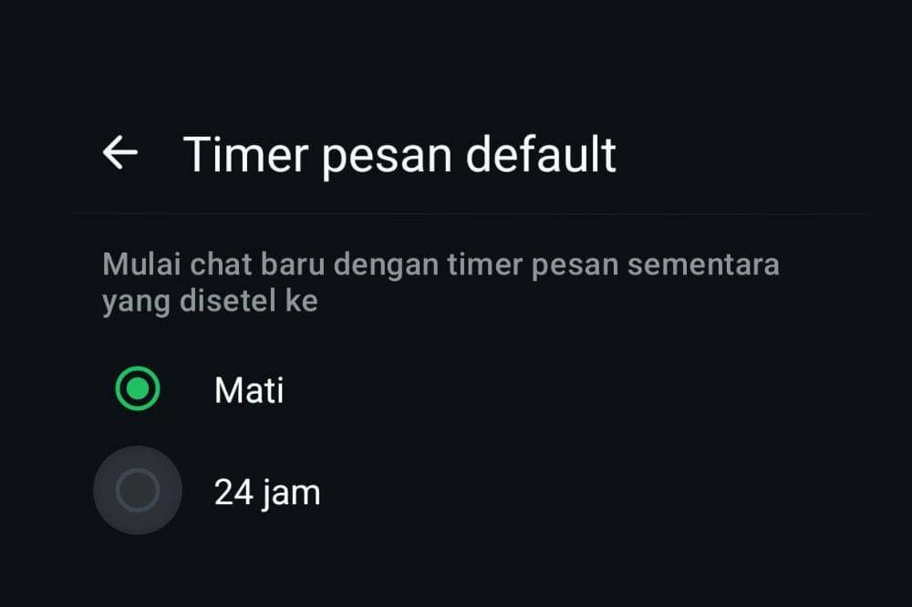 11 Fitur Tersembunyi di WhatsApp, Coba Sekarang Biar Nggak Ketinggalan (1).jpg