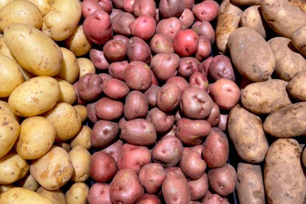 10 Jenis Makanan Gluten Free yang Mudah Ditemukan, Aman untuk Keluarga