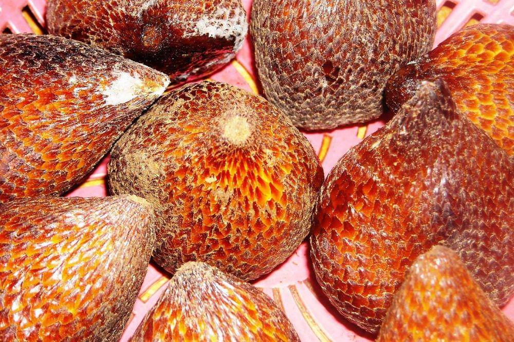 Cara Menyimpan Buah Salak agar Tidak Cepat Busuk